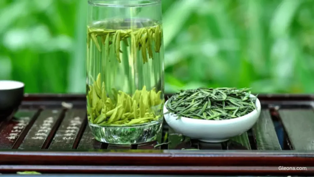 Green Tea – The Antioxidant Shield
