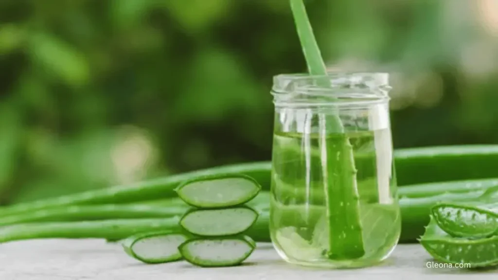 Natural & Home Remedies (Gentle Supportive Care)