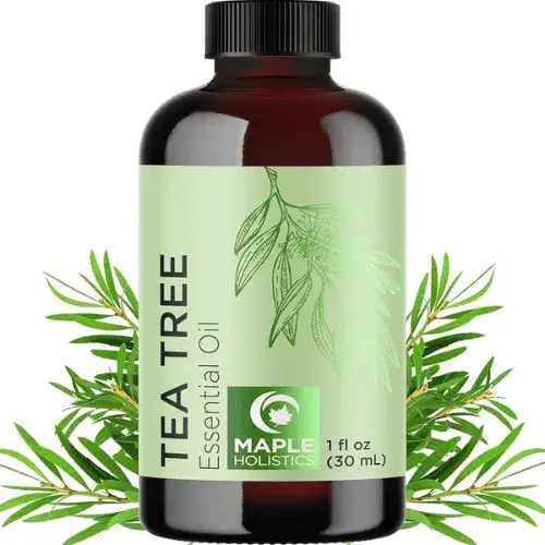 Tea Tree Oil – Nature’s Acne Fighter