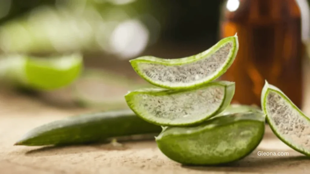 Best Ingredients for Sensitive Skin (What to Look For)