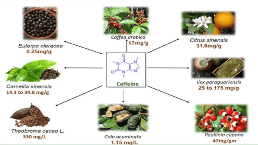 Combining Green Tea Extract with Other Skincare Ingredients