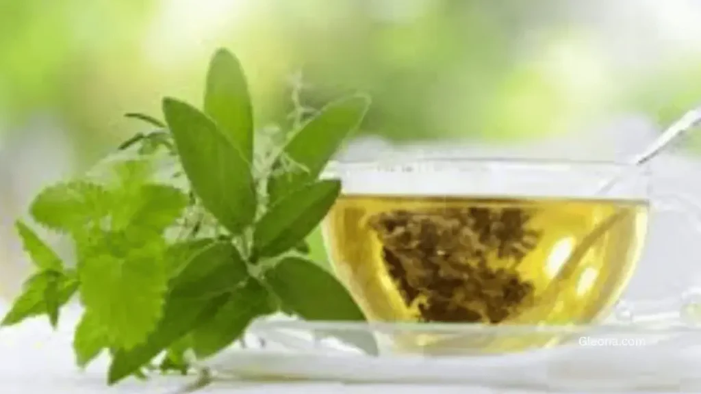 The Science Behind Green Tea Extract and Antioxidants